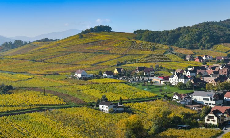 Luxury Day Trips from Paris