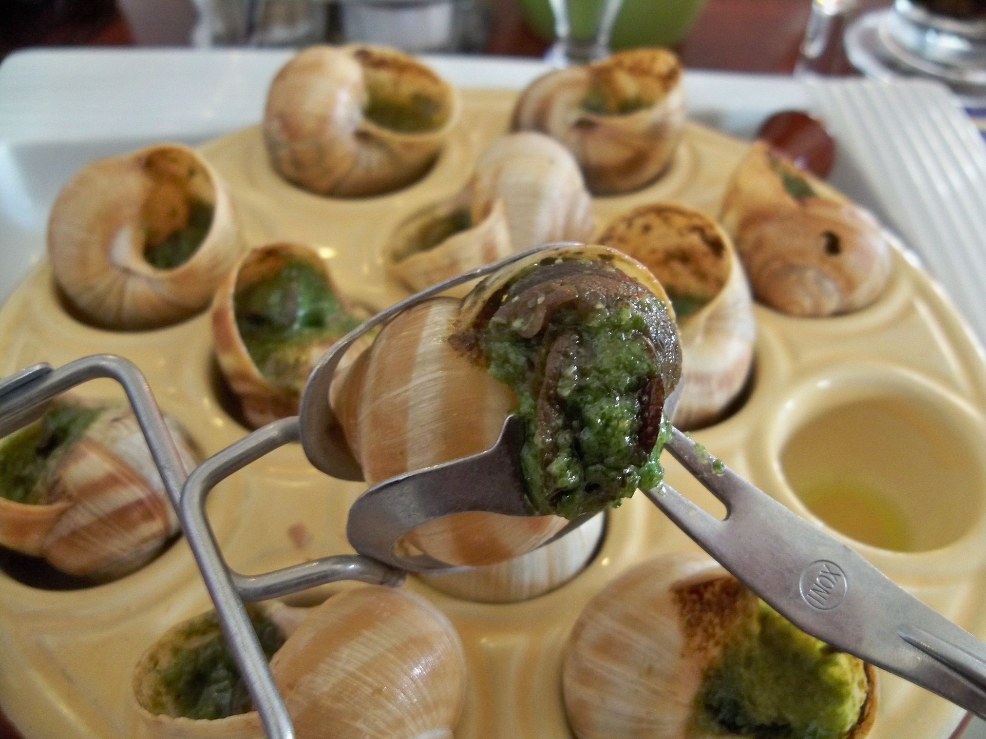 Burgundy Snails Or Escargots De Bourgogne Blue Fox Travel